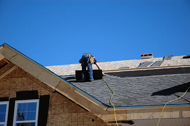 Best Roof Moss and Algae Removal  in Saco, ME